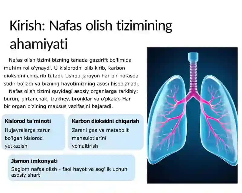 Nafas olish tizimi kasalliklari 2