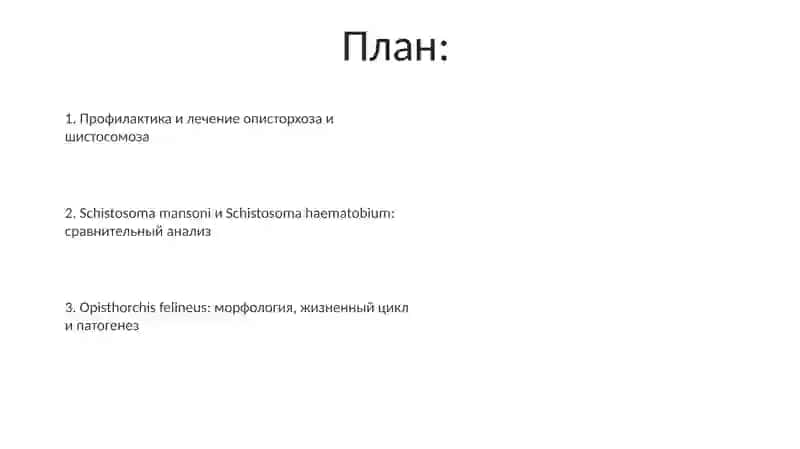 Профилактика и лечение описторхоза и шистосомоза 2