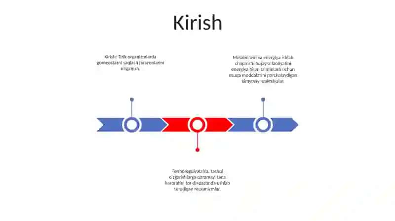 Metabolizm Va Energiyani O'Rganish. Termoregulyatsiya. To'G'Ri Ovqatlanish Asoslari 2