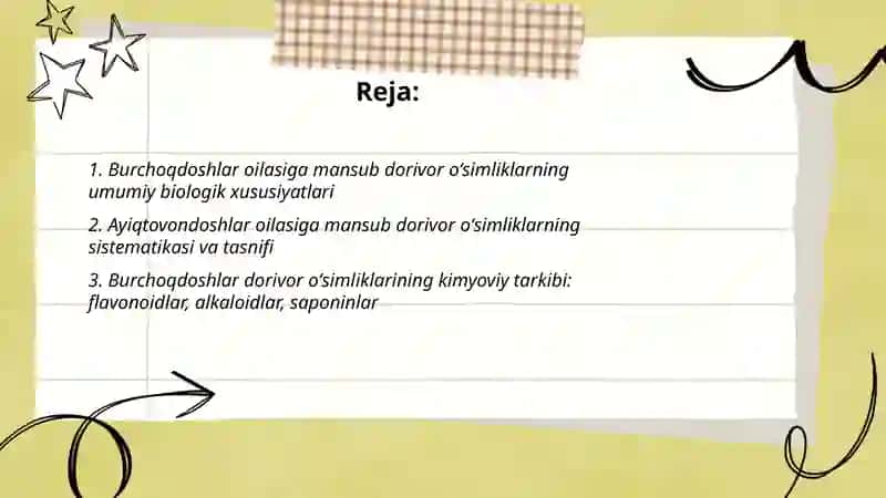 Burchoqdoshlar va ayiqtovondoshlar oilasiga mansub dorivor oʻsimliklar 2