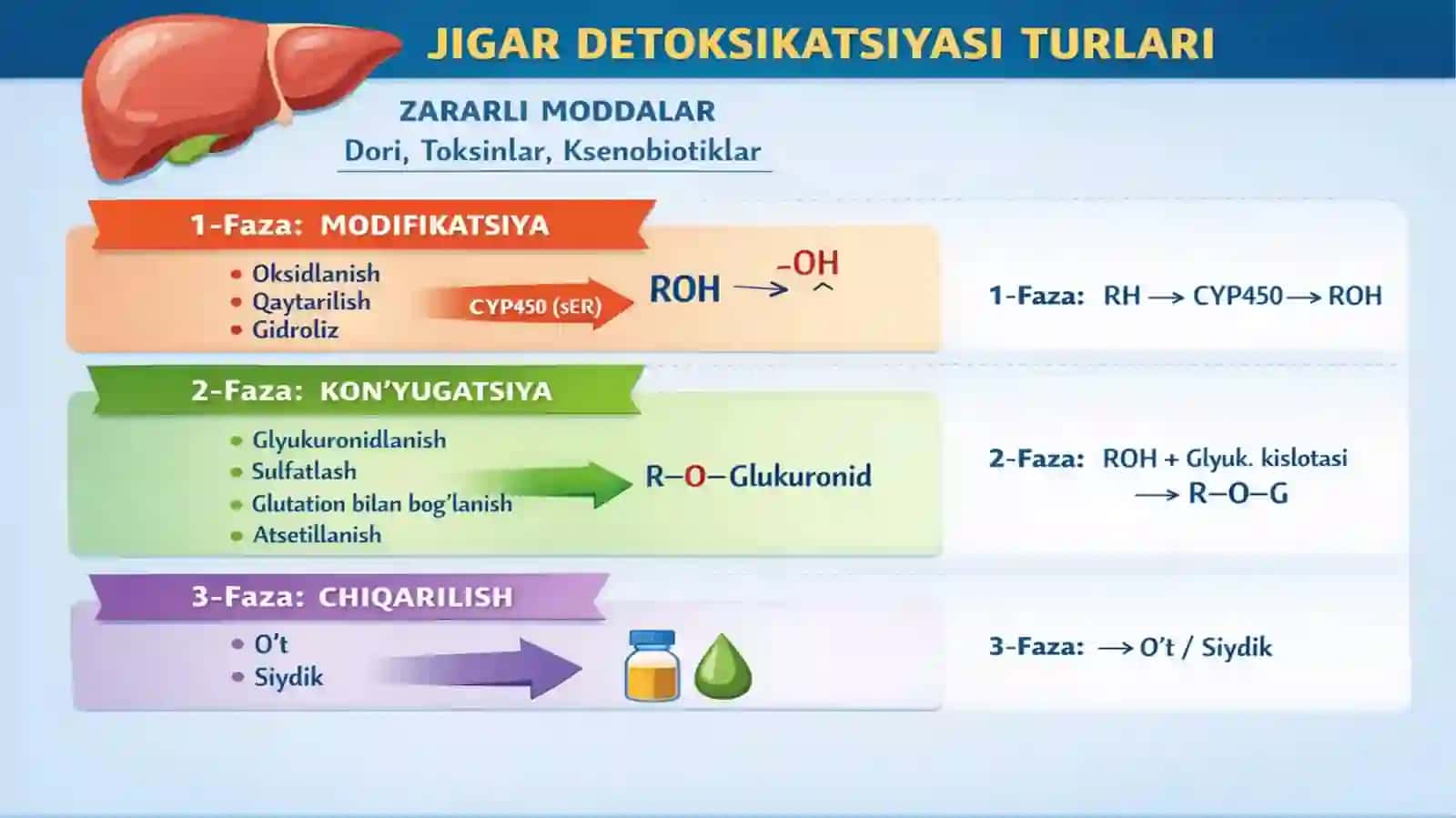 JIGARDA DETOKSIKATSIYA 2