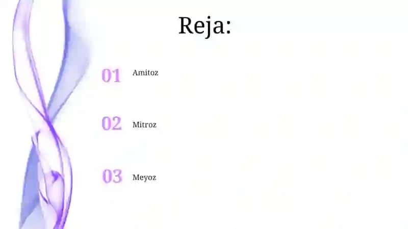 Meyoz va Amitoz o'rtasidagi farqlar 2