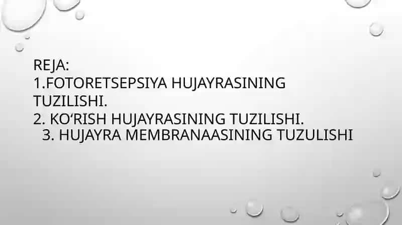 Fotoretseptsıya körısh hujayralarınıng tuzıshı 2