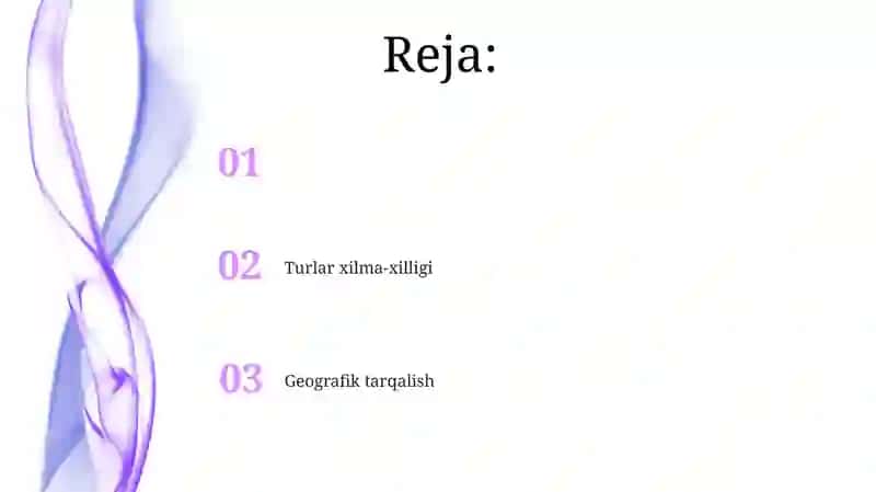 Real gazlar 2