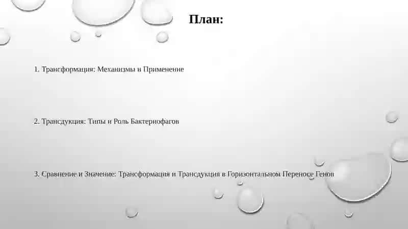 Трансформация и Трансдукция 2