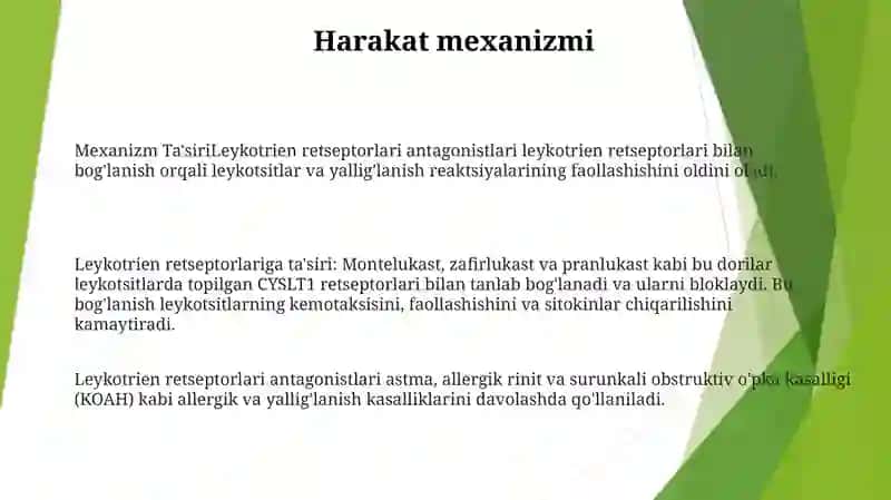 Leykotrien Retseptorlariga Ta‘Sir Qiluvchi Dori Vositalari 2