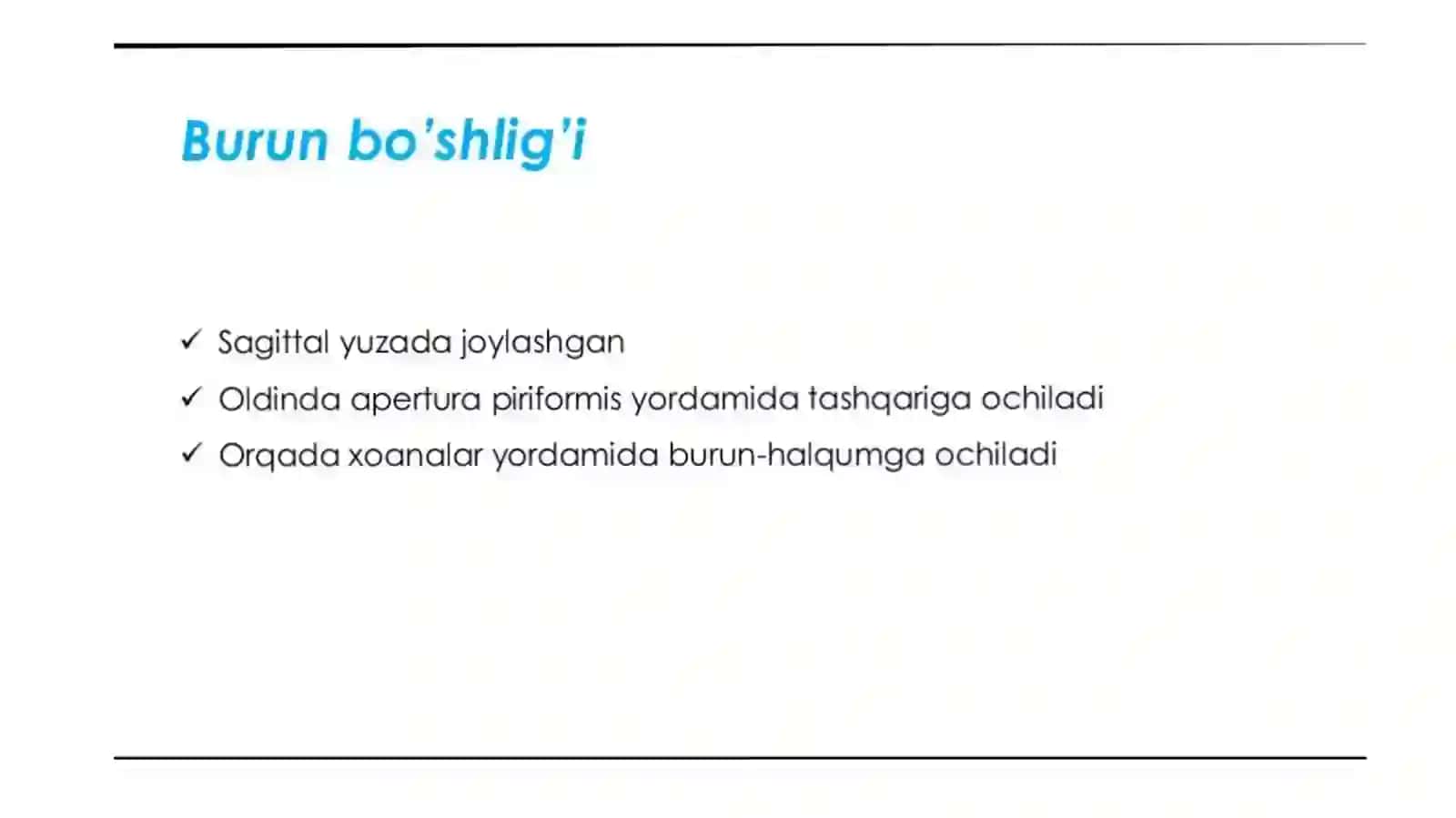 Burun va burun boshlig’i anatomik tuzilishi va fiziologiyasi 2