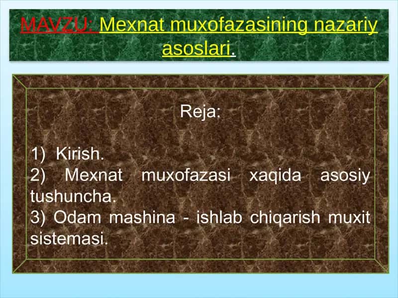 Mexnat muxofazasining nazariy asoslari 2