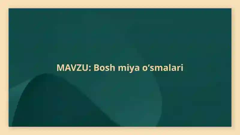 Bosh miya oʻsmalari 2