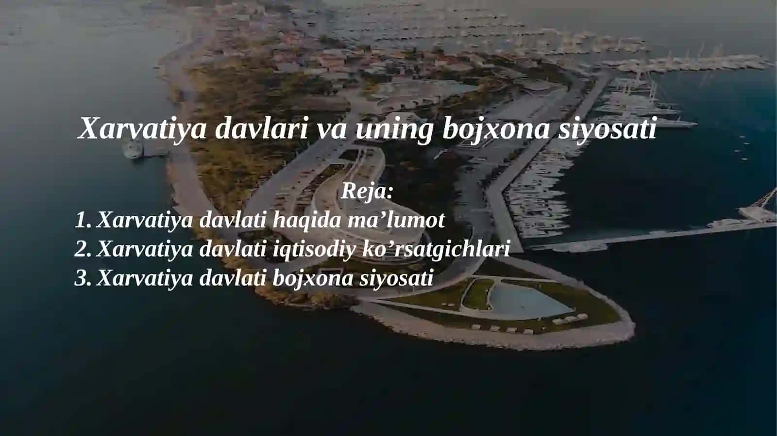 "BOJXONA ISHI" FANIDAN MUSTAQIL ISHI 2
