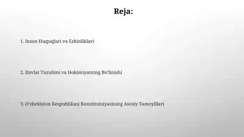 Oʻzbekiston Respublikasi Konstitutsiyasining asosiy prinsiplari 2