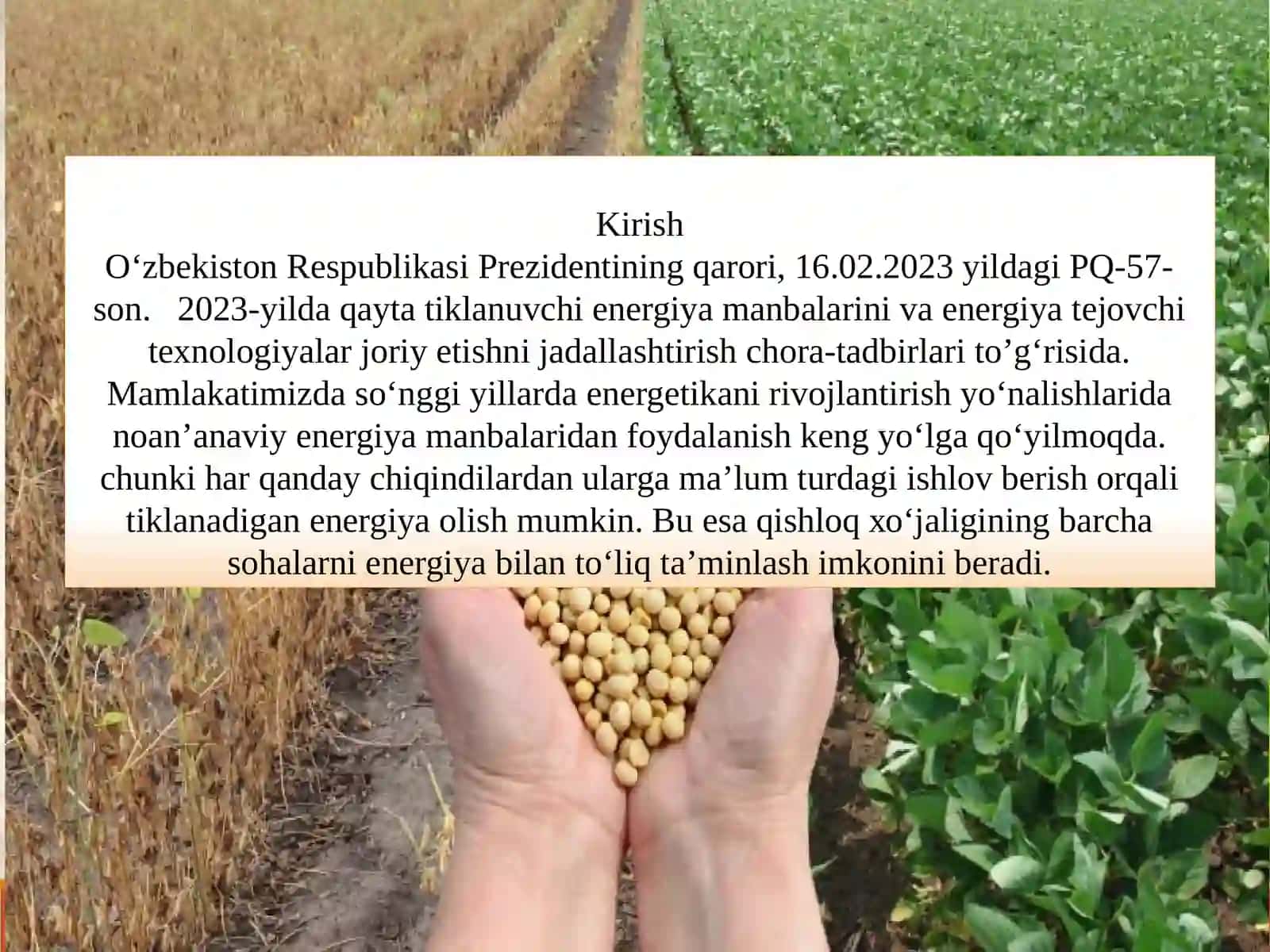 Qishloq xo‘jaligida organik chiqindilar biokonversiyasi. Qishloq xo‘jalik qoldiq mahsulotlaridan bioetanol olish usullari 2