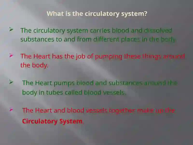 Circulatory System 2