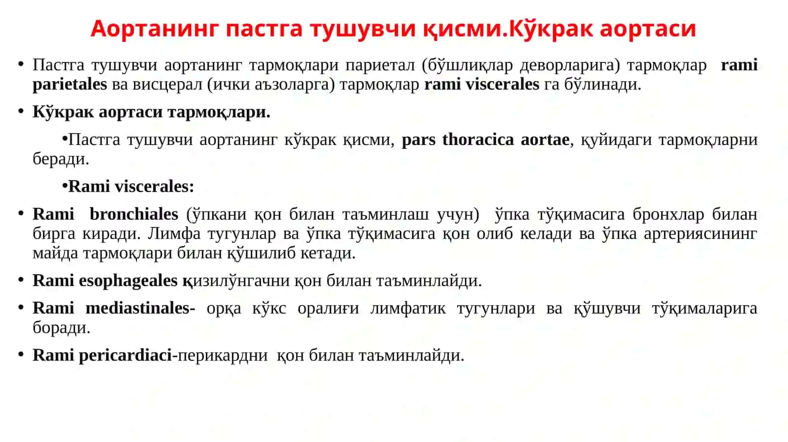 Кўкрак аортаси ва қорин аортасининг тармоқлари. Ички аъзоларнинг қон билан таъминланишининг жарроҳликдаги аҳамияти 2