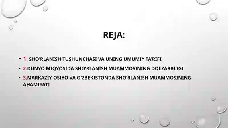 Shoʻrlangan mintaqalarda ekologik muammolarni kelib chiqishi 2