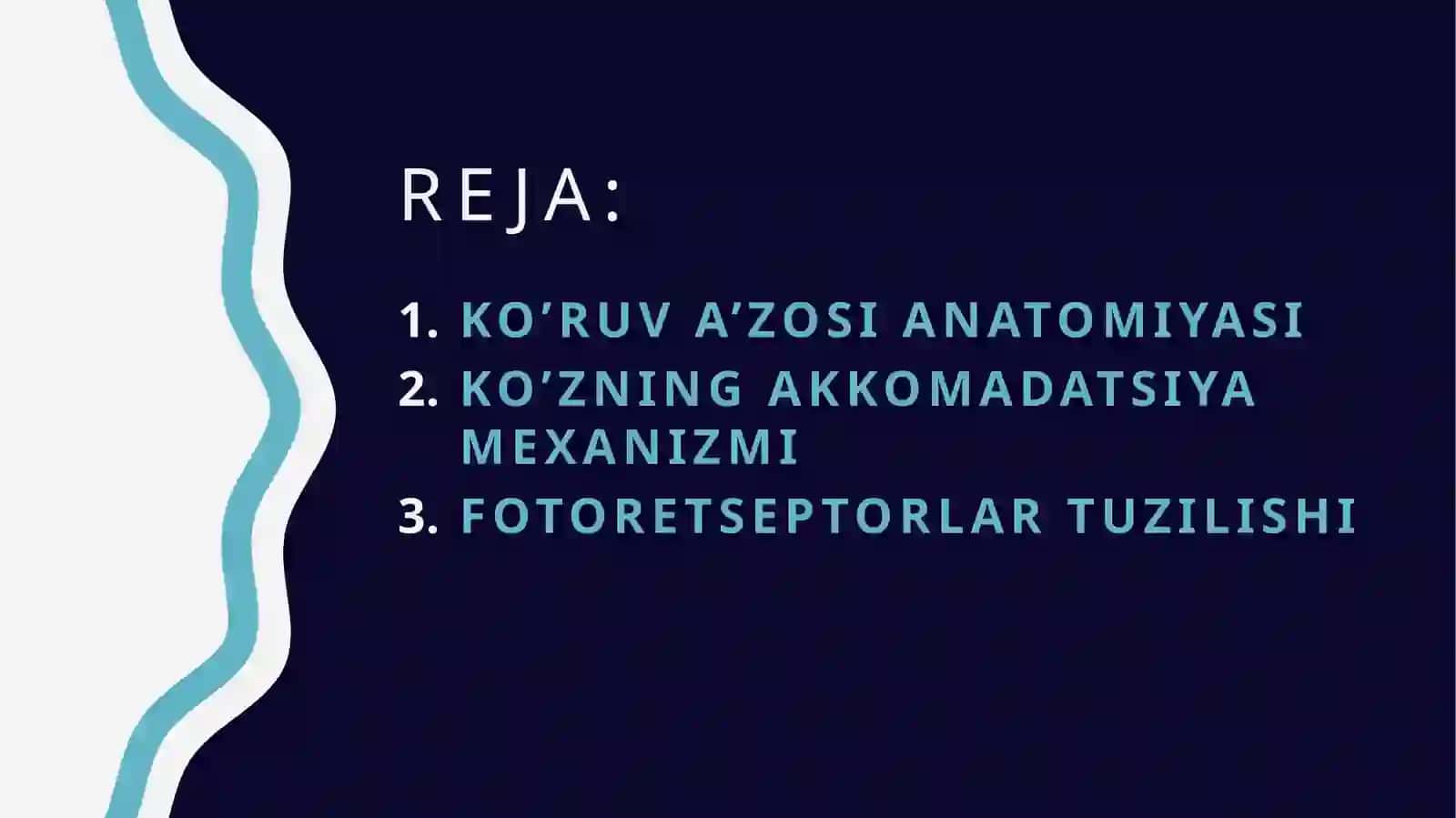 Ko’ruvtizimianalizatori 2