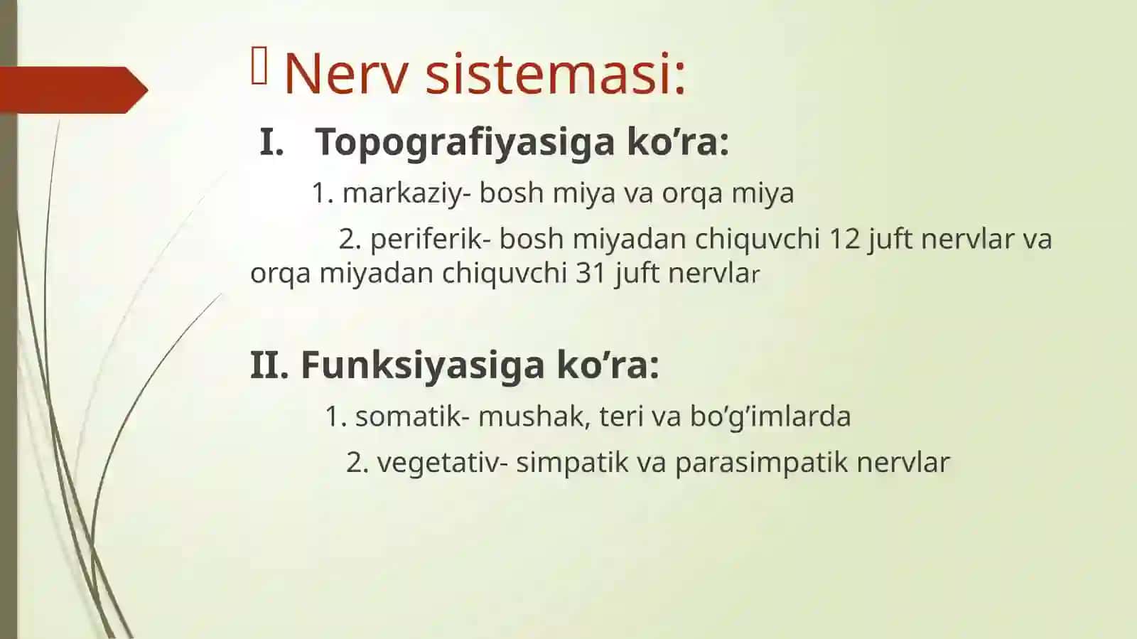Nerv tizimining umumiy anatomiyasi, filo-ontogenezi. Orqa miyaning funksional va yoshga oid anatomiyasi. Rombsimon, o’rta, oraliq miyaning funksional va yoshga oid anatomiyasi 2