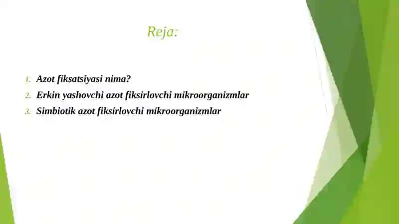AZOTNING ERKIN YASHOVCHI VA SIMBIOTIK MIKROORGANIZMLAR TOMONIDAN FIKSIRLANISHI 2