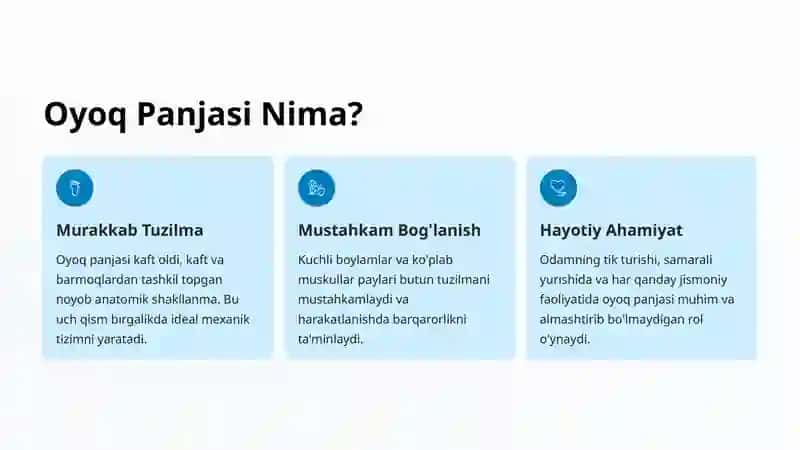 Oyoq Panjasi Suyaklari: Tuzilishi va Ahmiyati 2