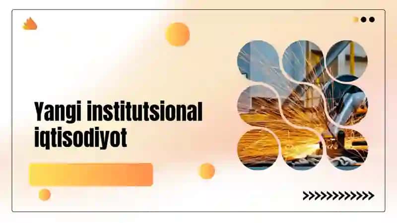 Yangi institutsional iqtisodiyot 2