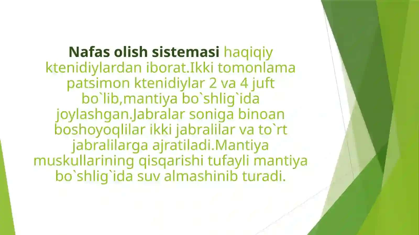 Bosh oyoqlilar nafas olishi va qon aylanish sistemasi 2