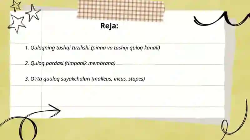 Sezgi a'zolari. Eshitish va muvozanat organlari 2