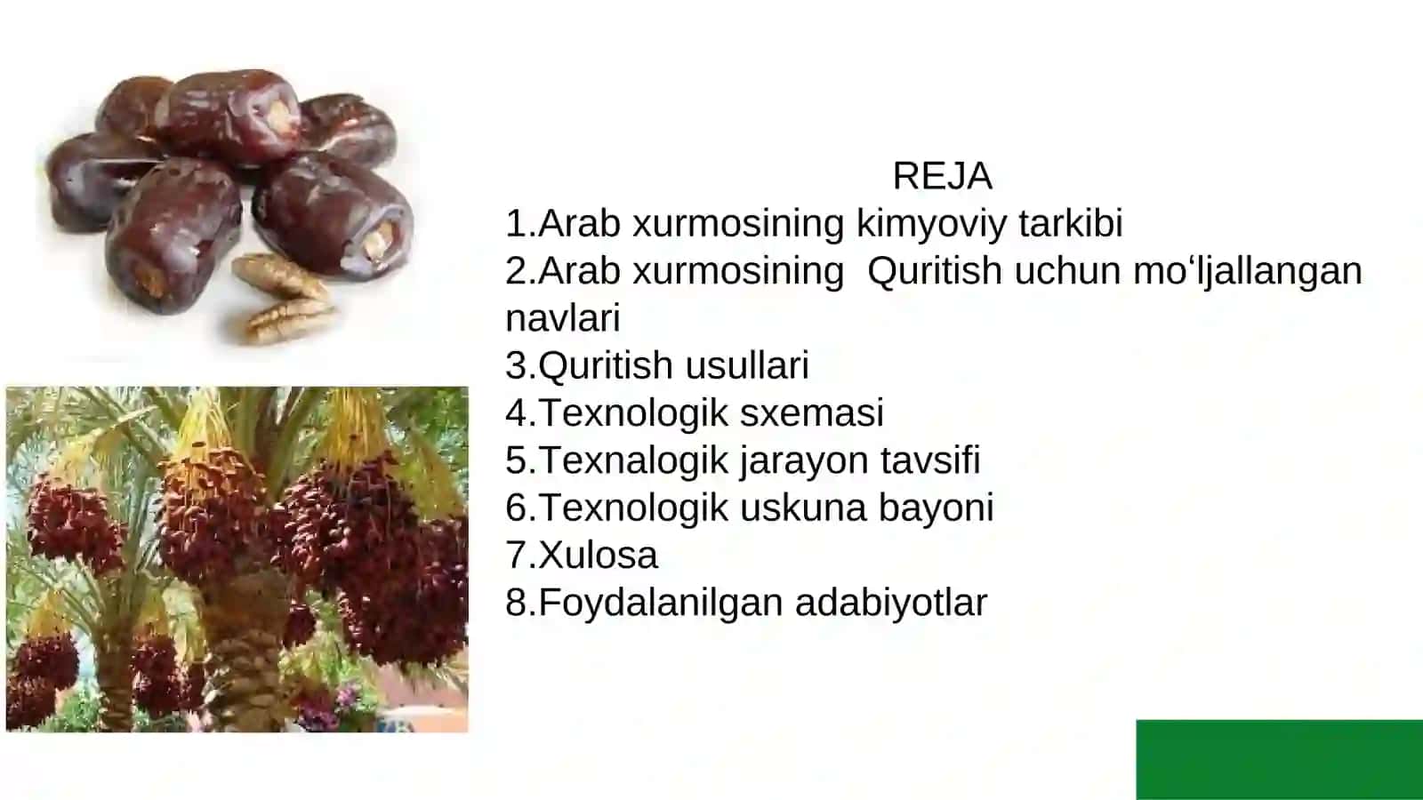 Arab xurmosini quritish texnalogiyasi 2
