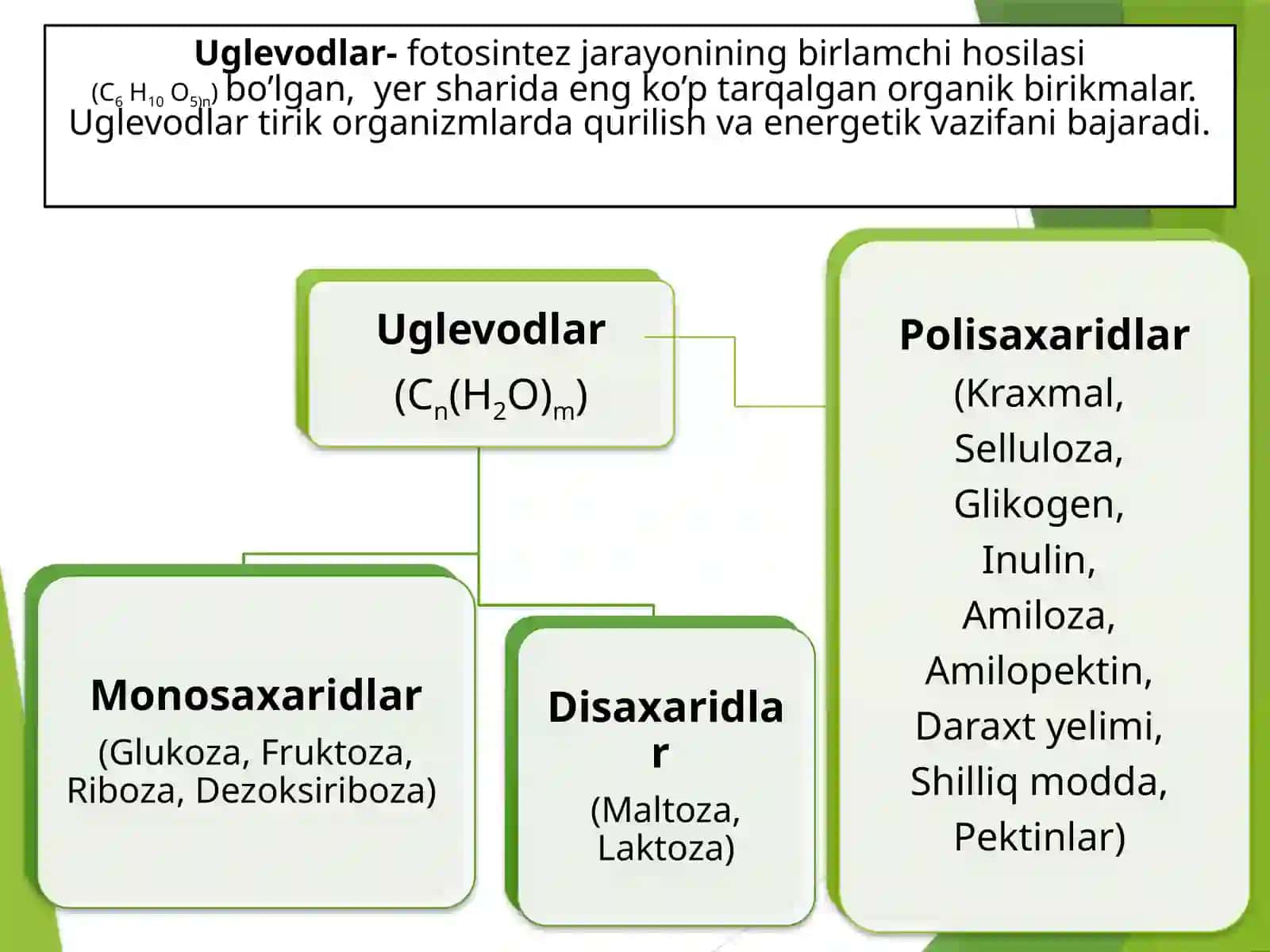 Polisaxaridlar saqlovchi dorivor o`simliklar 2