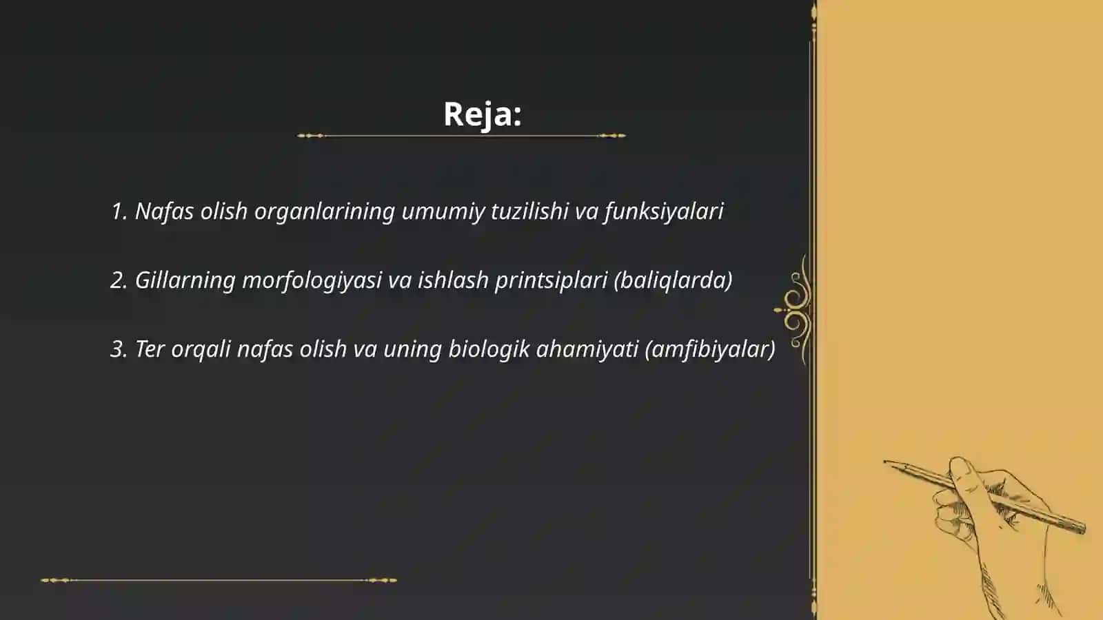 Nafas olish organlari tuzilishi, filogenezi va ahamiyati 2