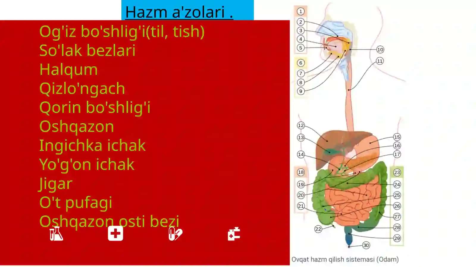 Hazma'zolaritizimigata'sirqiladiganvositalar.Me'dasekretsiyasigata'siretuvchivositalarvaularningo'rindoshpreparatlari 2