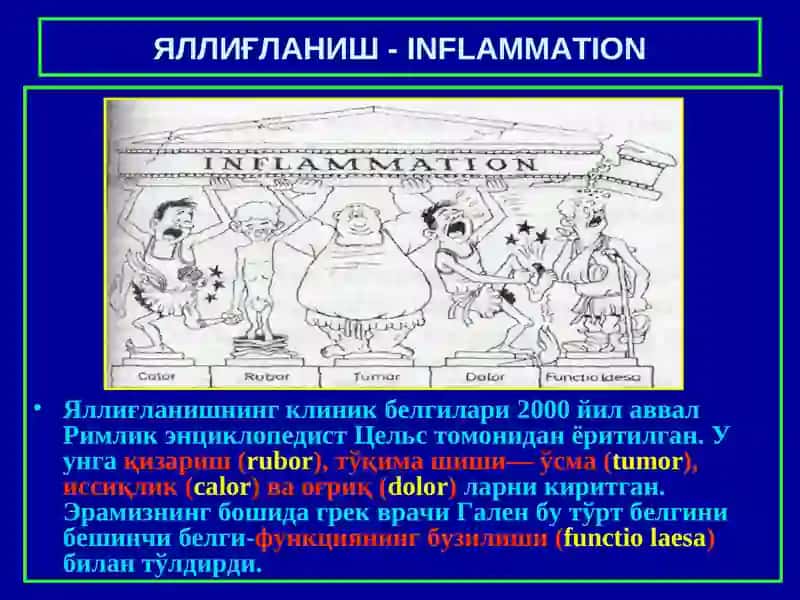 Яллиғланиш - INFLAMMATION 2