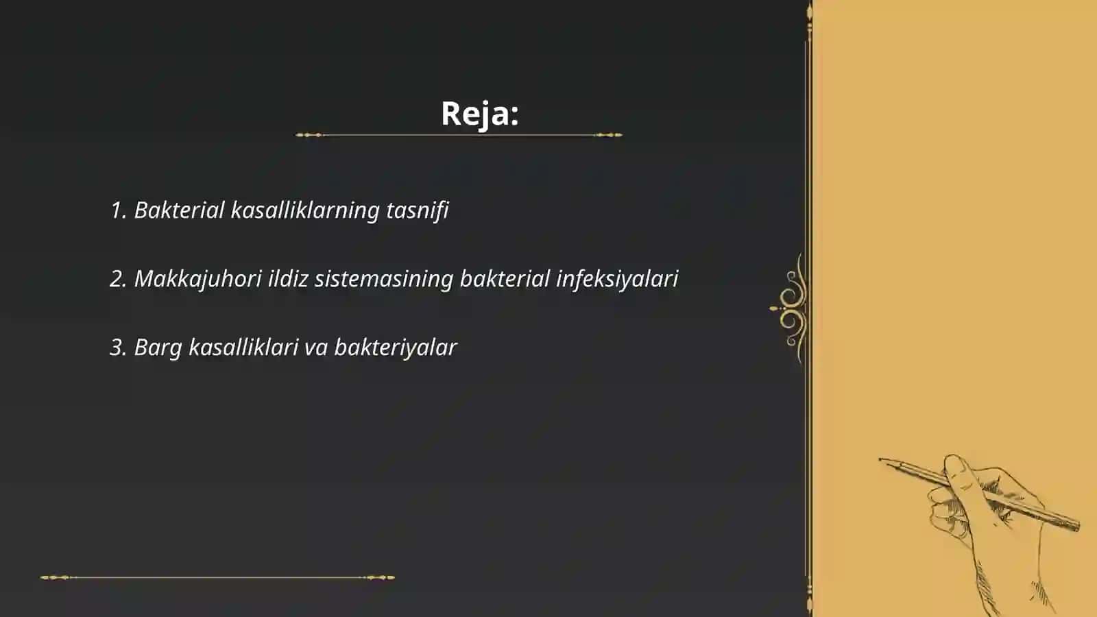 Makkajuhorining bakterial kasalliklari va ularga qarshi kurashi kurash choralari 2