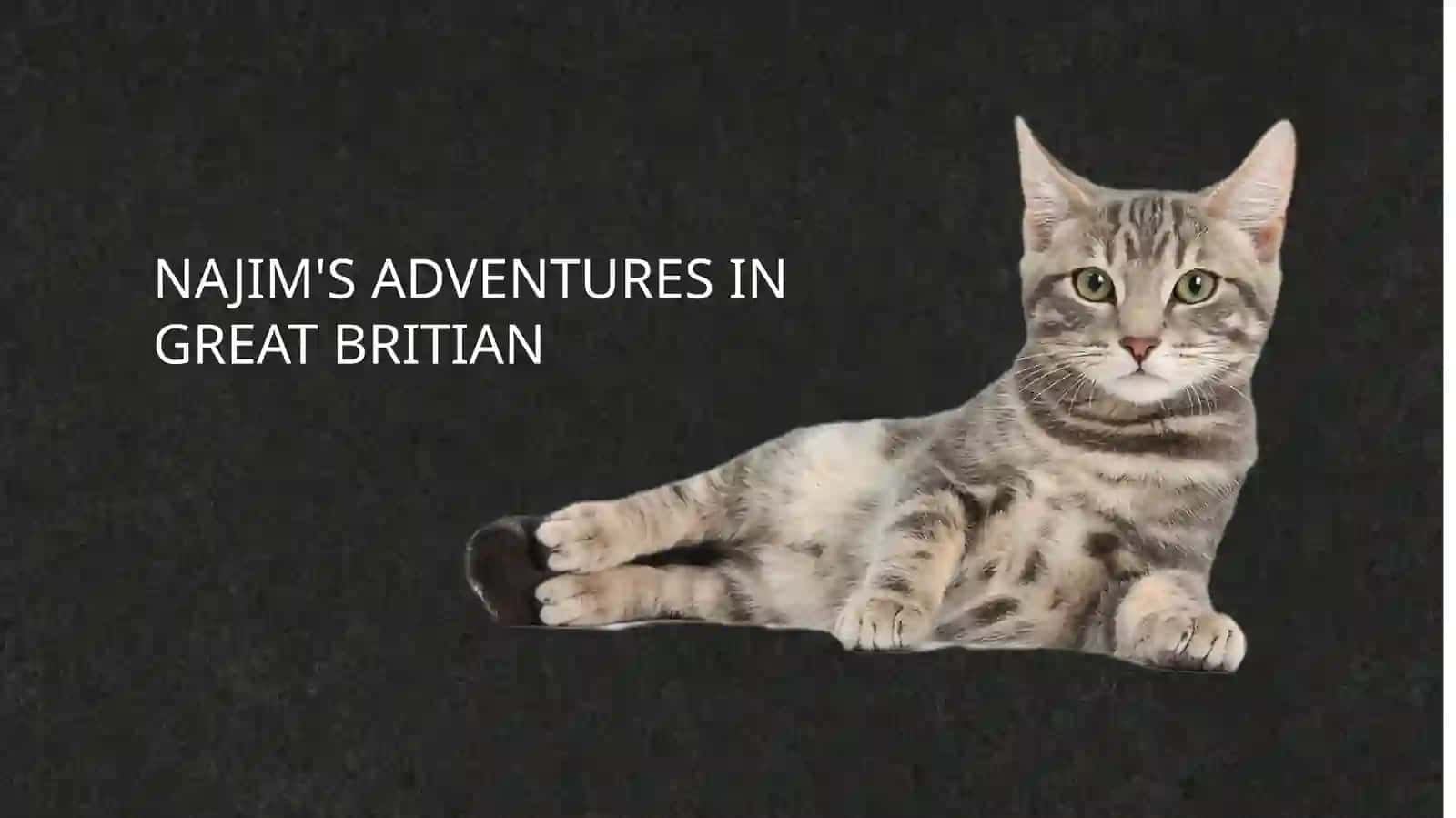 NAJIM'S ADVENTURES IN GREAT BRITAIN 2
