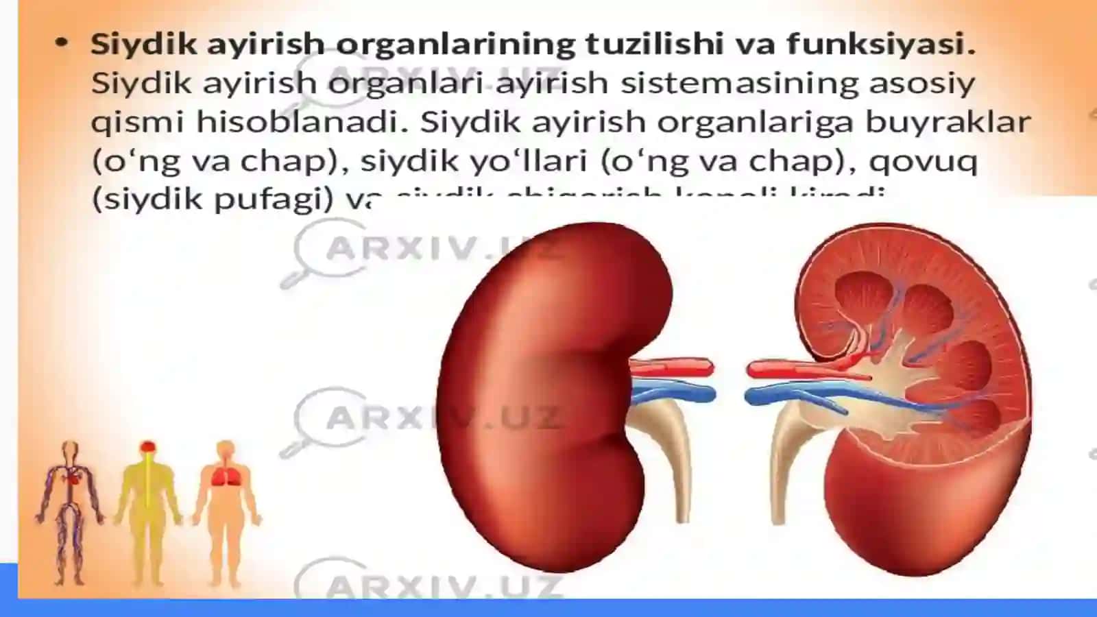 Siydik ayirish azolarining kasalliklari 2