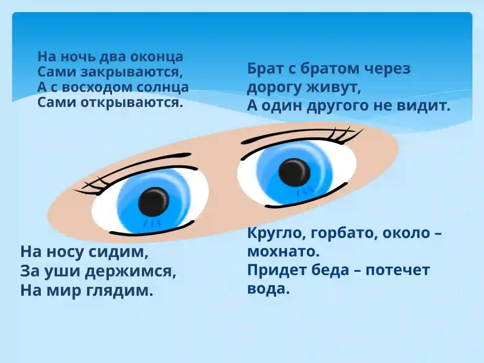 Глаза, строение, гигиена зрения 2