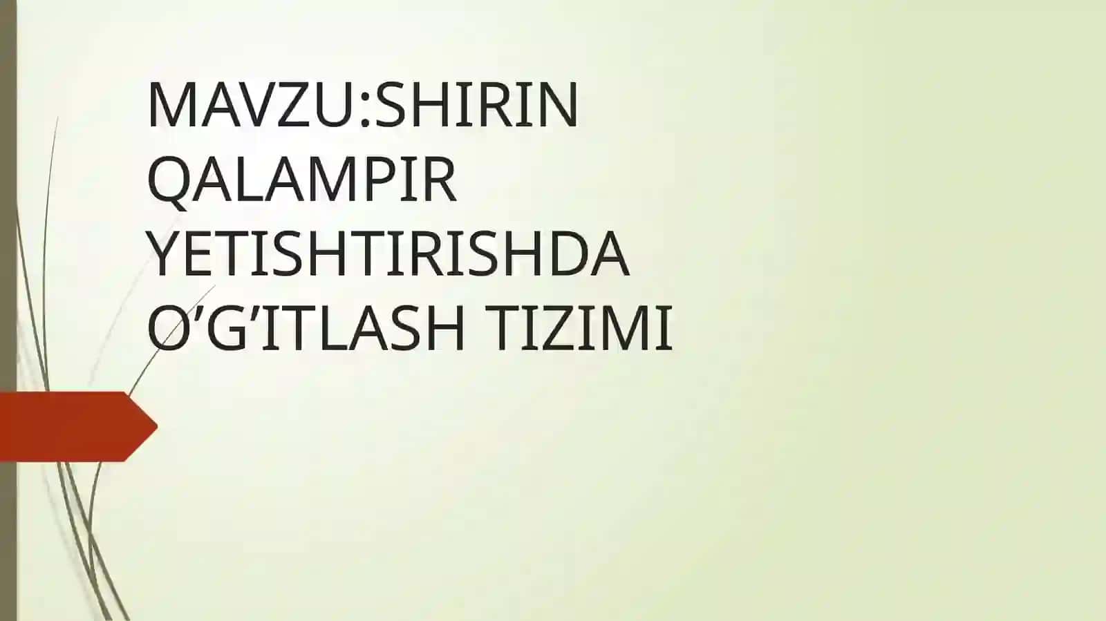 YO’LDOSHEVA DILRABO NINGO’G’IT QO’LLASH 2
