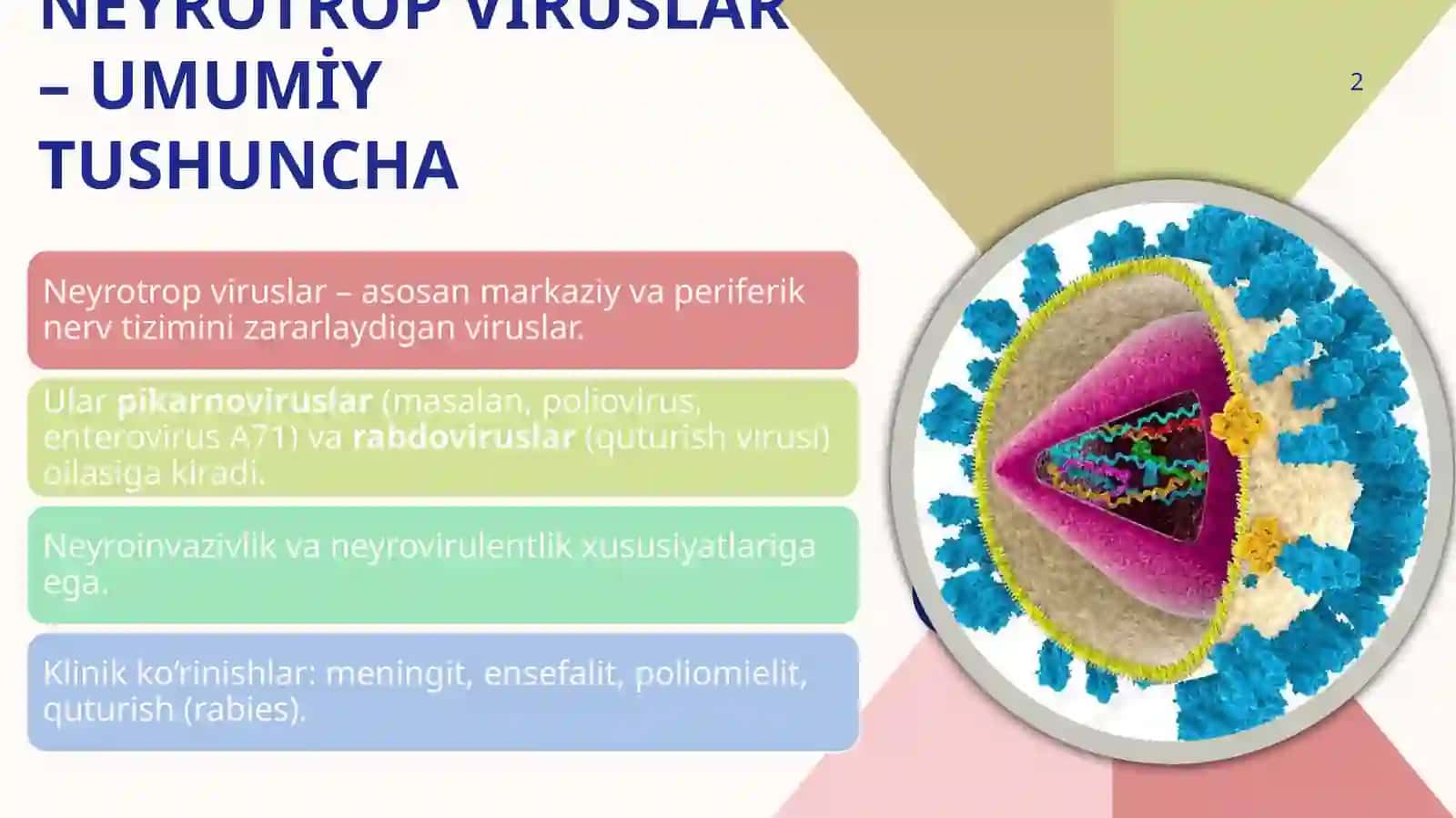 Neyrotrop viruslar: pikarnoviruslar, rabdoviruslar xarakteristikasiva laboratoriya tashxisi 2