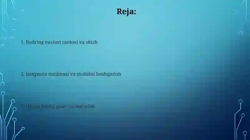 Tuproqli issiqxonalarda bodringni yetishtirish texnologiyasi 2