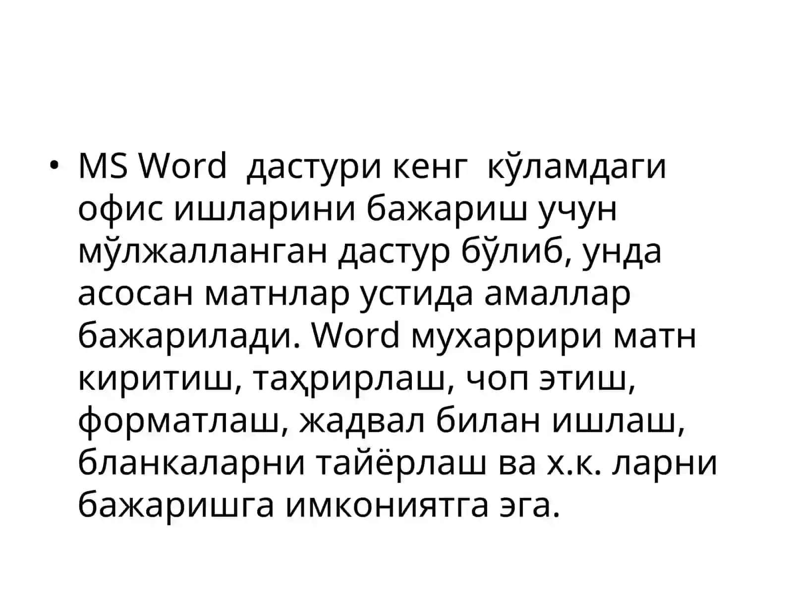 MS Word 2
