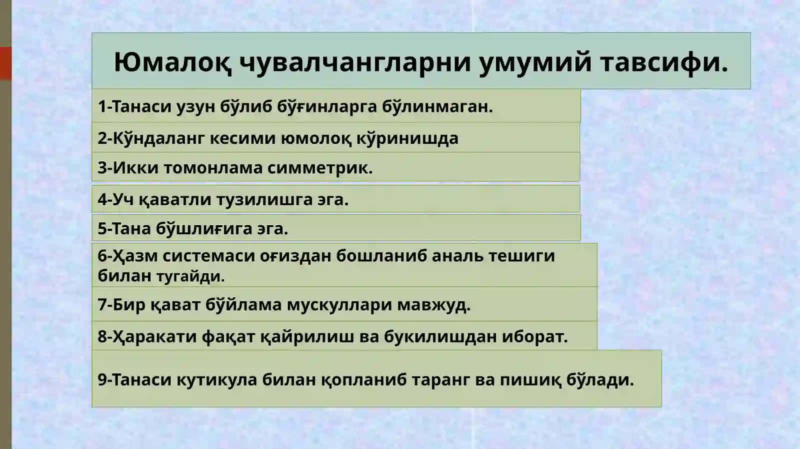 Юмалоқ чувалчанглар типи 2