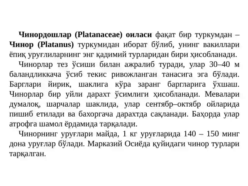 Чинордошлар- PLATANACEAE (платанация) ОИЛАСИ (платановые) 2