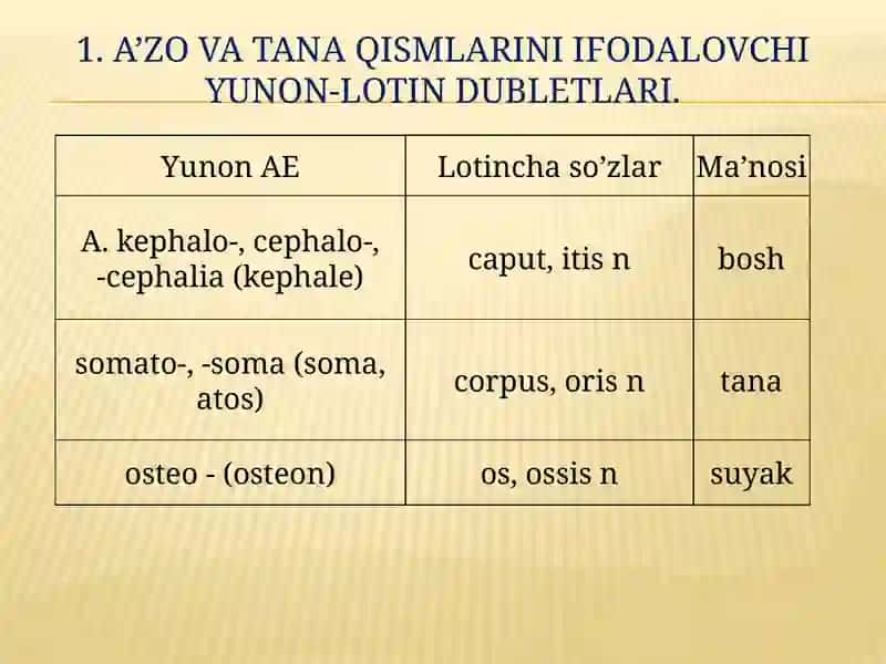 A’zo va tana qismlarini ifodalovchi yunon-lotin dubletlari 2