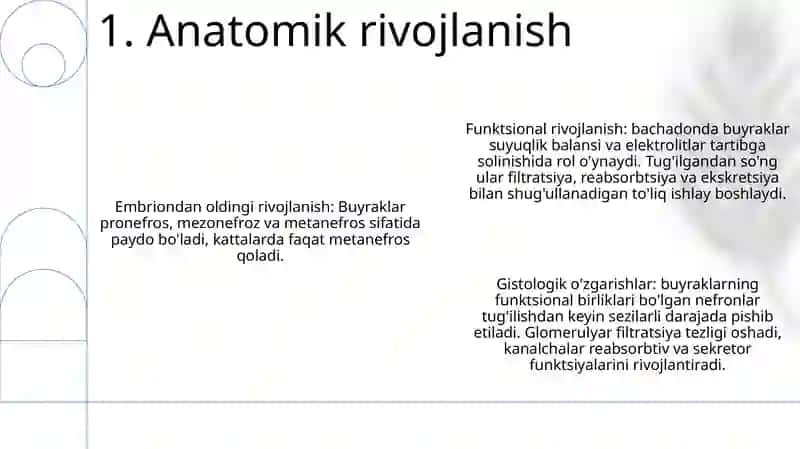 Bolalarda Buyraklarni Anatomo Fiziologik Xususiyatlari 2