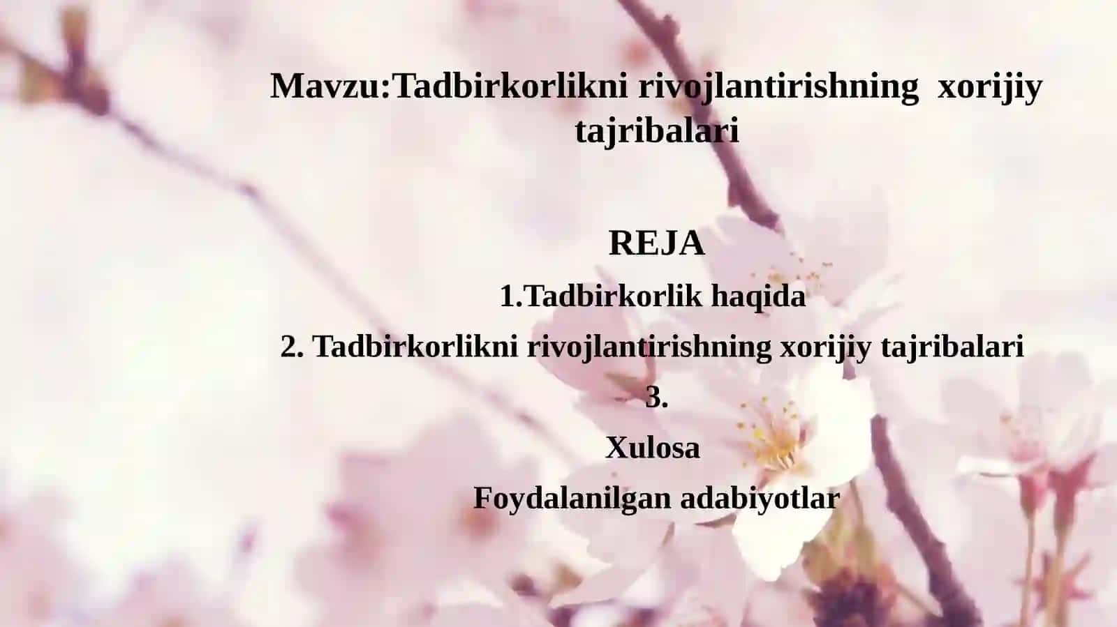 Tadbirkorlikni rivojlantirishning xorijiy tajribalari 2