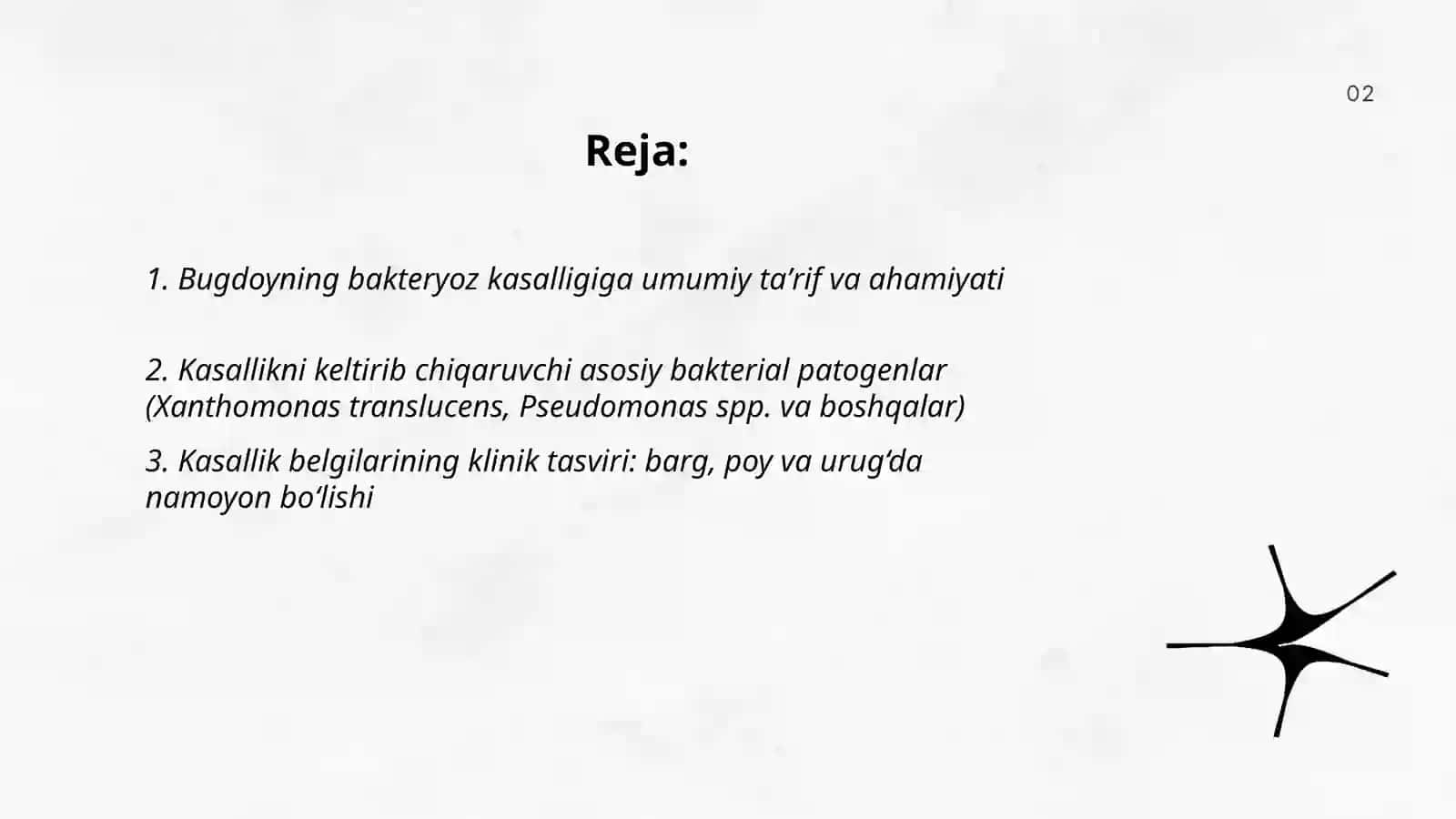 Bugdoyning bakteryoz kasaligi 2