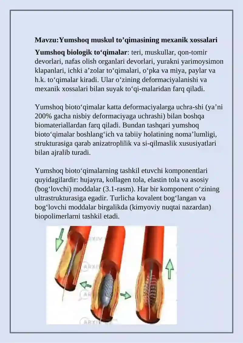 Yumshoq muskul to'qimasining mexanik xossalari 2