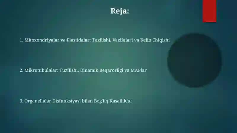 Mitoxondriyalar va Plastidalar: Tuzilishi, Vazifalari va Kelib Chiqishi 2