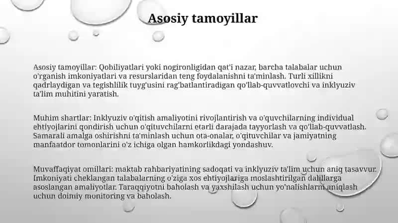 Imkoniyati Cheklangan Bolalarning Samarali Inklyuziv TaʼLim Olishning Asosiy Shartlari 2