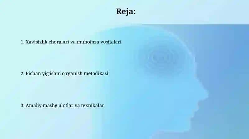 Havas va hasadni o’rganuvchi metodika 2