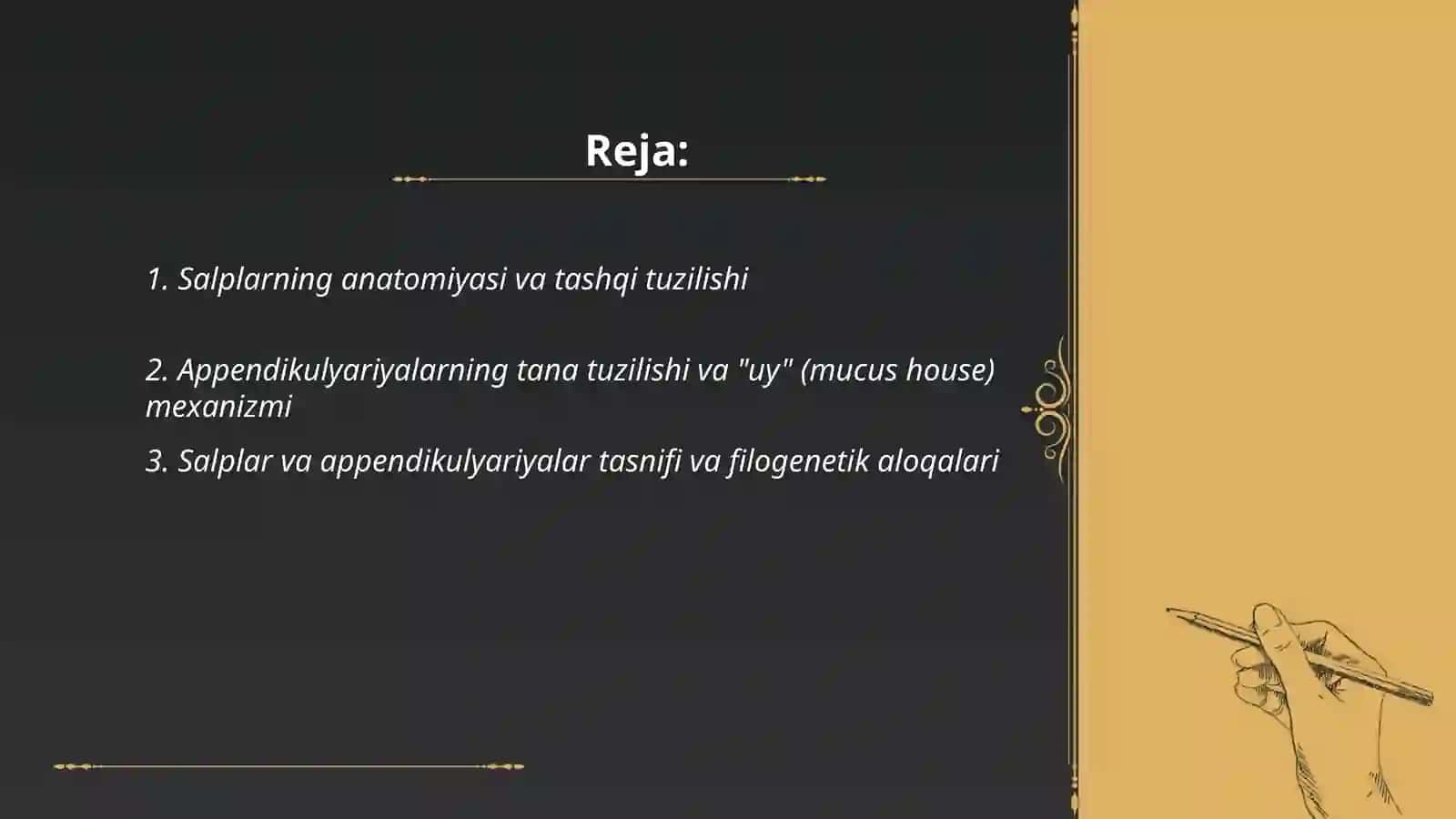 Sal'plar va appendikulyariyalar sinfi 2